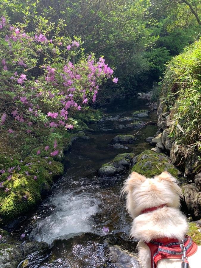 River, Mountain Retreat At 四万十accommodation *